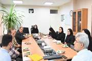 تبیین راهبردهای توسعه مشارکت مردمی با رویکرد محله‌محور توسط مدیر شبکه بهداشت و درمان شهرستان ری در دیدار با روسای خانه‌های مشارکت مردم در سلامت و توسعه 