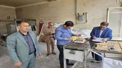 گشت مشترک کارشناسان بهداشت محیط شبکه بهداشت و درمان شهرستان ری، از واحدهای صنفی حسن‌آباد فشافویه