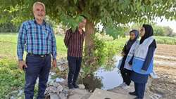 نظارت بر اراضی کشاورزی شهرستان ری؛ پایش منابع آبی و آموزش پیشگیری از پشه آئدس