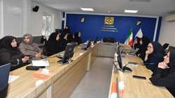  برگزاری کارگاه آموزشی «فرسودگی شغلی؛ از فرسایش روانی تا بازیابی انرژی و اثربخشی حرفه ای» در شبکه بهداشت و درمان شهرستان ری
