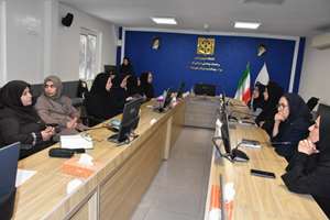  برگزاری کارگاه آموزشی «فرسودگی شغلی؛ از فرسایش روانی تا بازیابی انرژی و اثربخشی حرفه ای» در شبکه بهداشت و درمان شهرستان ری
